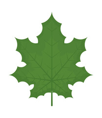 green leaf illustration