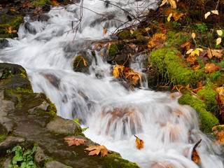 Close Up of Silky Waterfall with Moss and Autumn Leaves