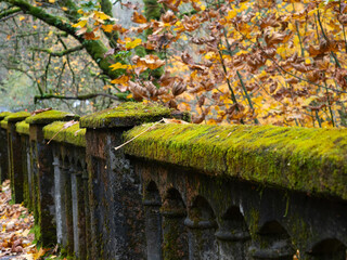 Moss-Covered Bridge Railing in Autumn in the Columbia River Gorge National Scenic Area, Oregon