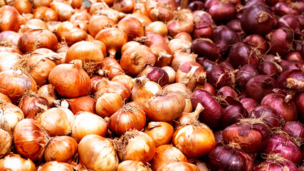 Fresh yellow and purple onions as a food background in the food market.