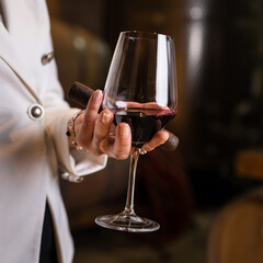 Midsection of one unknown caucasian woman holding glass of red wine in hand and cigar while standing indoor in cellar side view copy space drink and celebration concept
