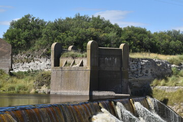 wooden bridge in the forest