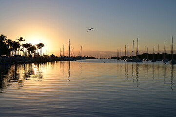 Sunrise at Dinner Key Marina in Coconut Grove, Miami, Florida. on calm cloudless winter morning.
