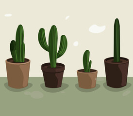 cactus in a pot decorative house plant