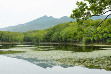 知床五湖-五湖-04