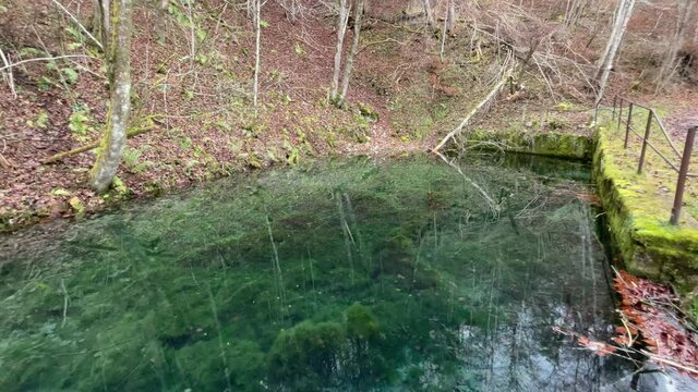 Donaubergland im Winter