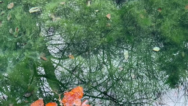 Donaubergland im Winter