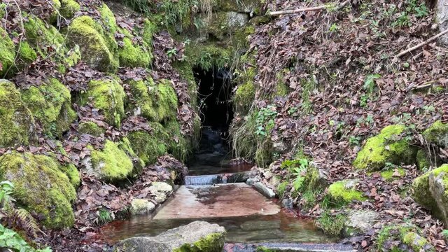 Donaubergland im Winter