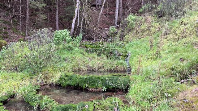 Donaubergland im Winter