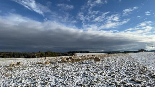 Donaubergland im Winter