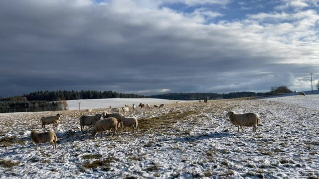 Donaubergland im Winter