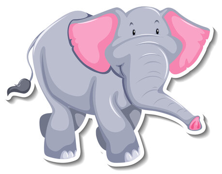 Elephant cartoon character on white background