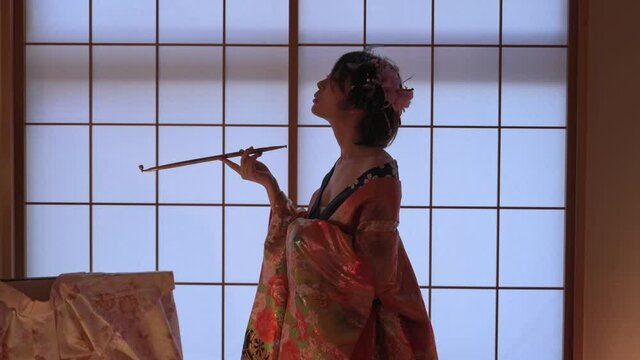 日本人女性の、遊郭の花魁イメージ　