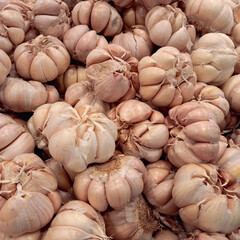 Bunch Of Natural Raw Garlic Image Photo