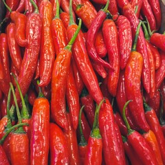 Bunch Of Natural Red Chilli In The Market Image Photo