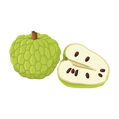 Flat vector of Custard sugar apple or Srikaya, Annona squamose isolated on white background. Flat illustration graphic icon