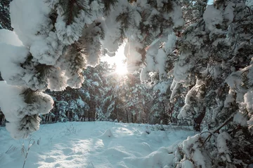 Zelfklevend Fotobehang Winter forest © Galyna Andrushko