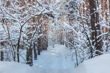 Tragetasche Winter forest © Galyna Andrushko