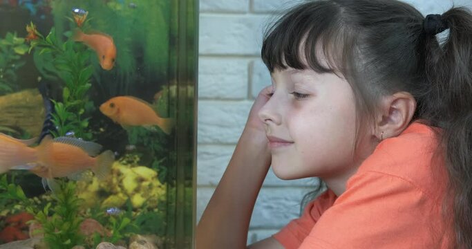 Stay by home aquarium. A pretty child dreaming about something about her domestic aquarium with fishes pet.