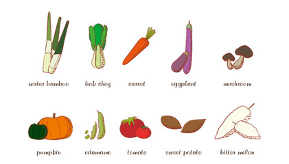 outline of vegetable illustration