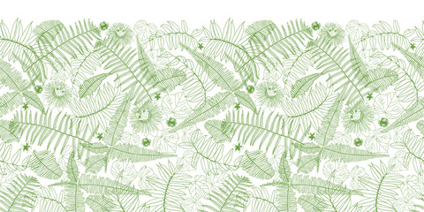 Vector white horizontal border fern leaves pattern. Perfect for posters, greeting cards and other graphic design projects.