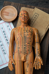 Acupuncture models and medical books are on the table. Acupuncture is a traditional Chinese medical method