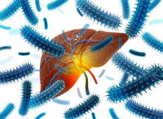 Bacteria or virus around the human liver on white background. diseased liver. Virus infected liver. 3d illustration