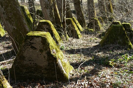 Westwall bei Simmerath in der Eifel
