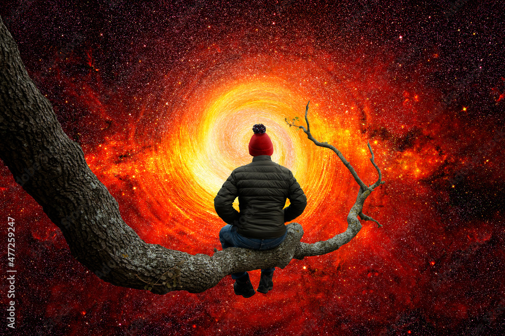 Wall mural man observes the universe on the trunk of a large tree