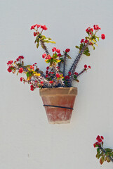 Flores en las fachadas de los pueblos