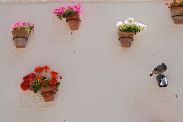 Flores en las fachadas de los pueblos