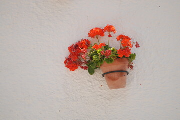 Flores en las fachadas de los pueblos