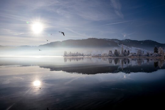 Seagulls over Lake Aegeri (&Auml;gerisee) , Switzerland