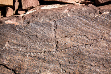 Petroglyphs on the rocks in Kazakhstan. The ancient parking cave man. Historical cave paintings. Carved on stone images of deer, goats and wolves. The development of ancient peoples.