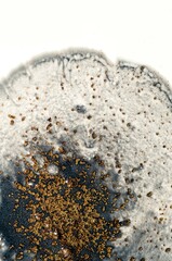 Galaxy. Star trek. Treasury of art. Swirls of marble. Abstract fantasia with golden powder. Extra special and luxurious- ORIENTAL ART. Ripples of agate. Natural luxury.