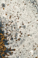 Galaxy. Star trek. Treasury of art. Swirls of marble. Abstract fantasia with golden powder. Extra special and luxurious- ORIENTAL ART. Ripples of agate. Natural luxury.
