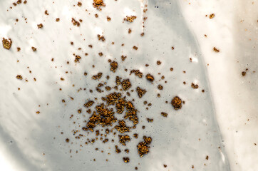 Galaxy. Star trek. Treasury of art. Swirls of marble. Abstract fantasia with golden powder. Extra special and luxurious- ORIENTAL ART. Ripples of agate. Natural luxury.