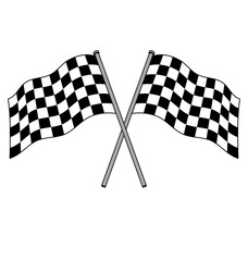 twin chequered checkered racing flags flying