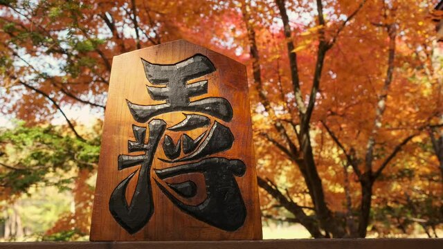 王将の駒と背景が紅葉　