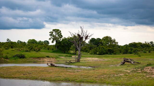 landscape scenery from Kruger National park