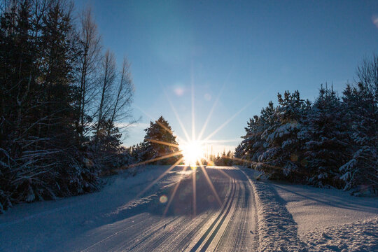 Winter sunset in the forest. Winter landscape with snow, ski trail. © Gatis
