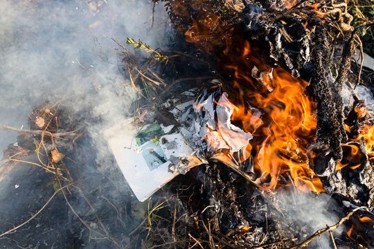 burning photography book in bonfire from cut branches in country garden on sunny day