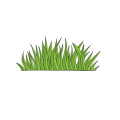 green grass hand drawn for design cartoon style