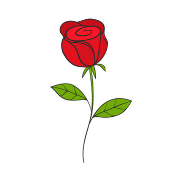 Red rose flower hand drawn for love card design