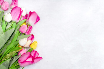Rose tulip flowers with gift