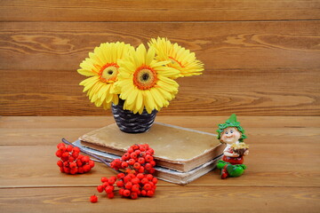 Fototapeta na wymiar Beautiful yellow gerbera flower. Standing in a black vase. Red mountain ash on a branch. Close-up. still-life.Book. On a wooden background. (chamomile) Holiday concept. For a postcard. Space for text