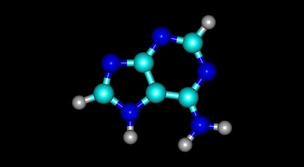 Adenine molecular structure isolated on black