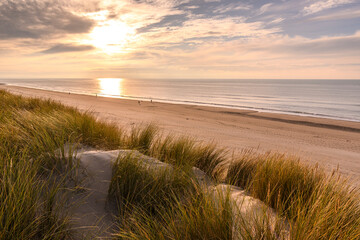 Fototapeta na wymiar Les dunes de Quend-plage couvertes d'oyats