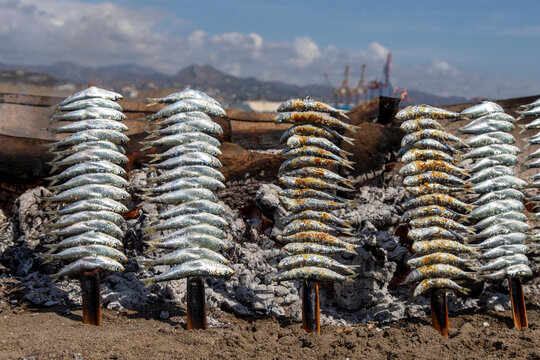 skewers of sardines pricked over grilled earth
