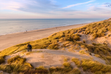 Les dunes de Quend-plage couvertes d'oyats